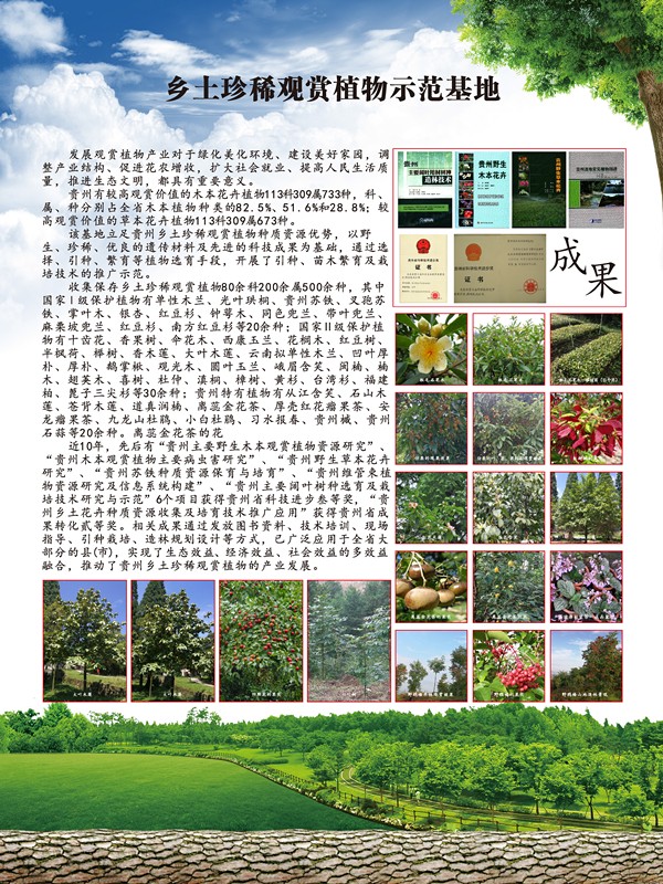 QQ图片20181018104742_副本.jpg