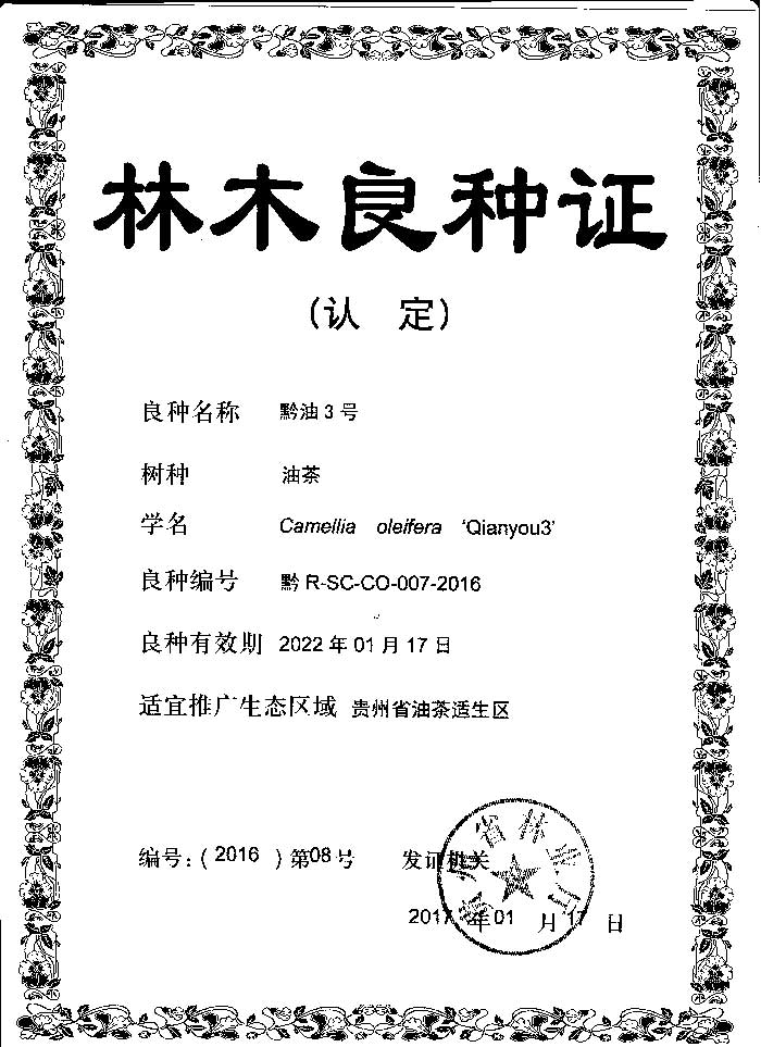 黔油3号良种证.jpg