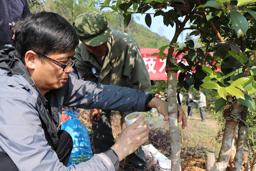 1553240810224256.jpg 3.jpg