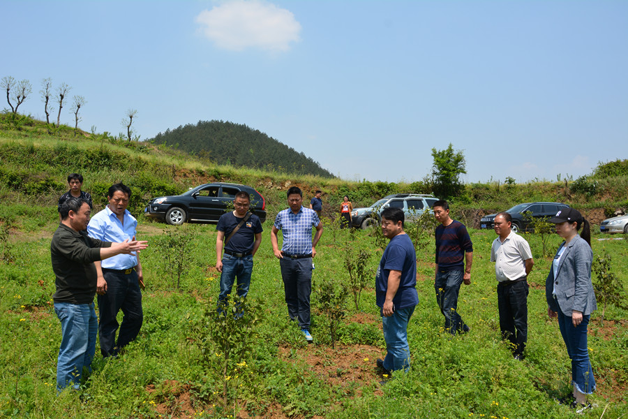 1555058829722707.jpg lADPDgQ9qm3ipeHND6DNF3A_6000_4000.jpg